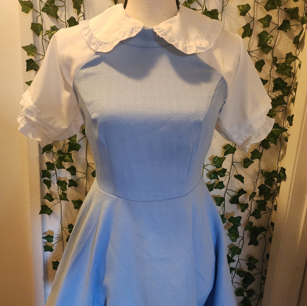 Dapper Costume; Disneyland